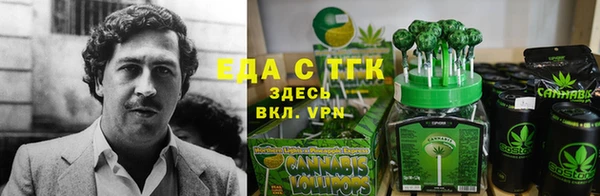 тгк Кулебаки