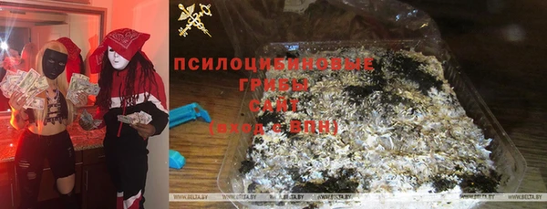 тгк Кулебаки