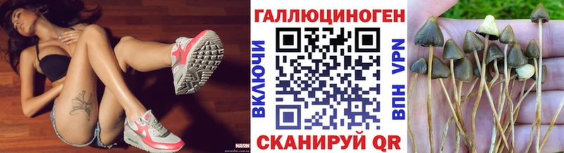 Купить где  Усолье  Галлюциногенные грибы прущие грибы 